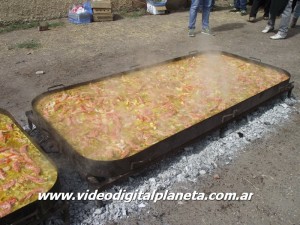 DSCF8457