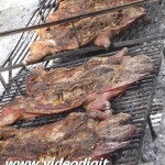 DSCF8461