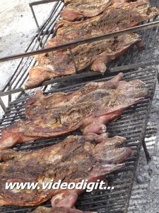 DSCF8461