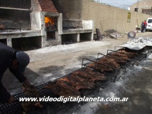 DSCF8462