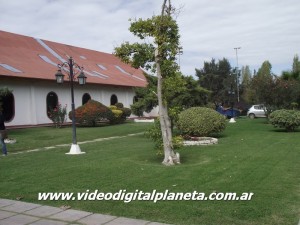 DSCF8470